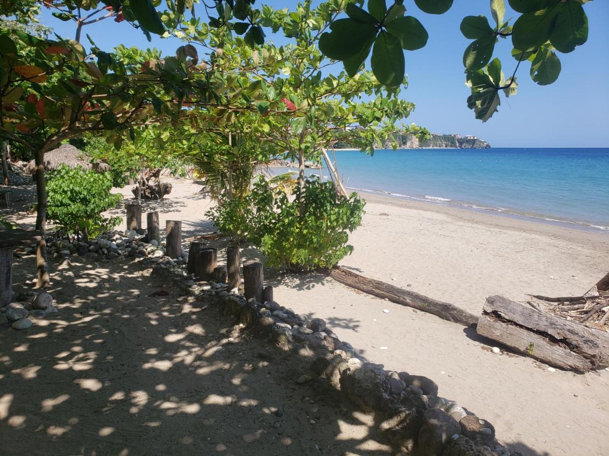 Sea Shell Palms, Ocho Rios Bed & Breakfast Exterior photo