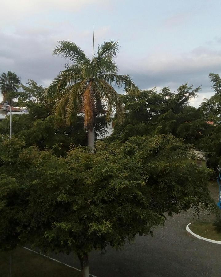 Sea Shell Palms, Ocho Rios Bed & Breakfast Exterior photo